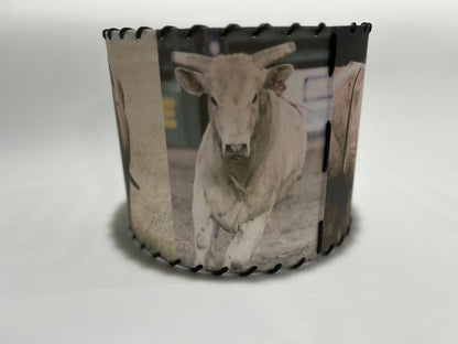 Buckin Bull Lampshade Chute 3