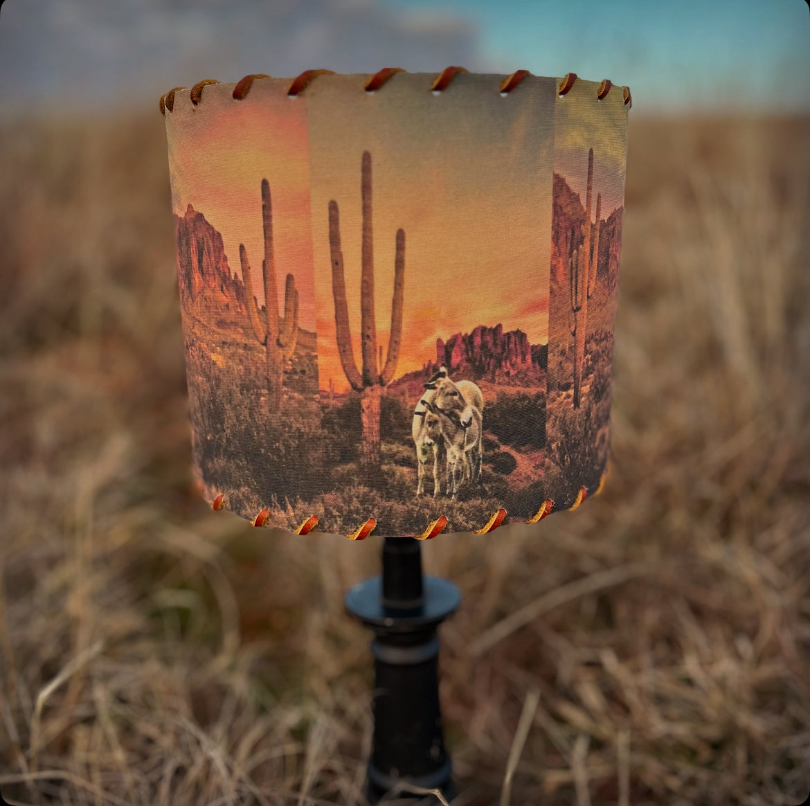 Desert Burros Lampshade 11-inch Medium