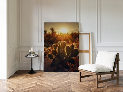 Desert Light Prickly Pear at Sunset