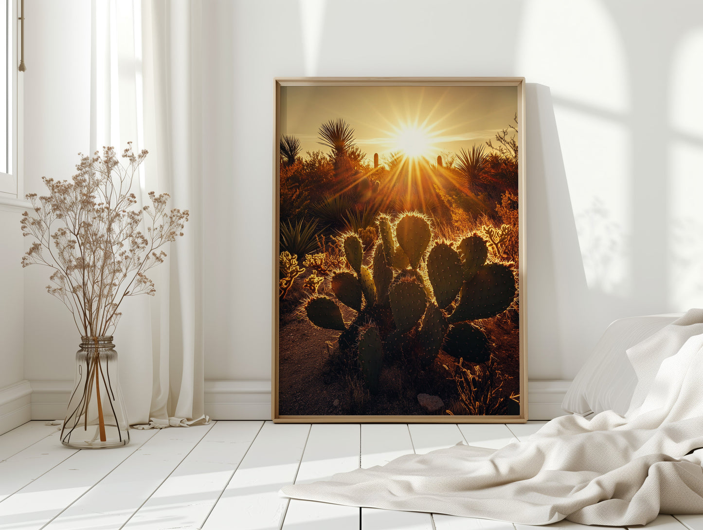 Desert Light Prickly Pear at Sunset