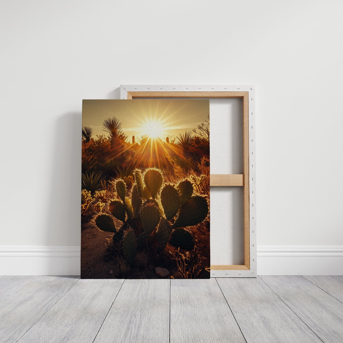 Desert Light Prickly Pear at Sunset