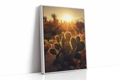 Desert Light Prickly Pear at Sunset