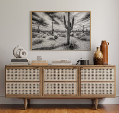 Saguaro Silence in Black and White