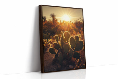 Desert Light Prickly Pear at Sunset
