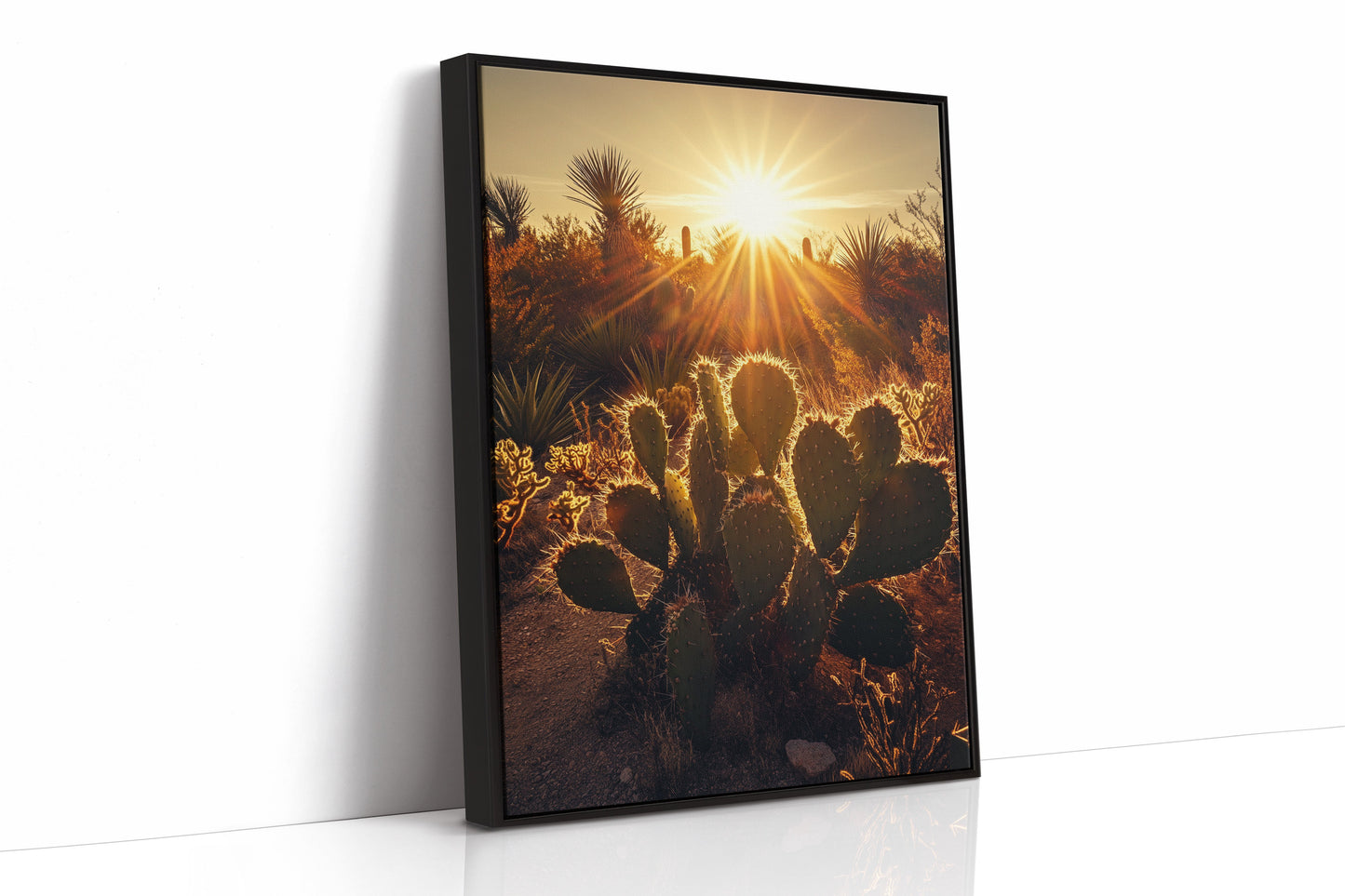 Desert Light Prickly Pear at Sunset