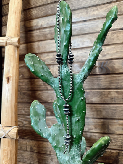 The Navajo Lariat