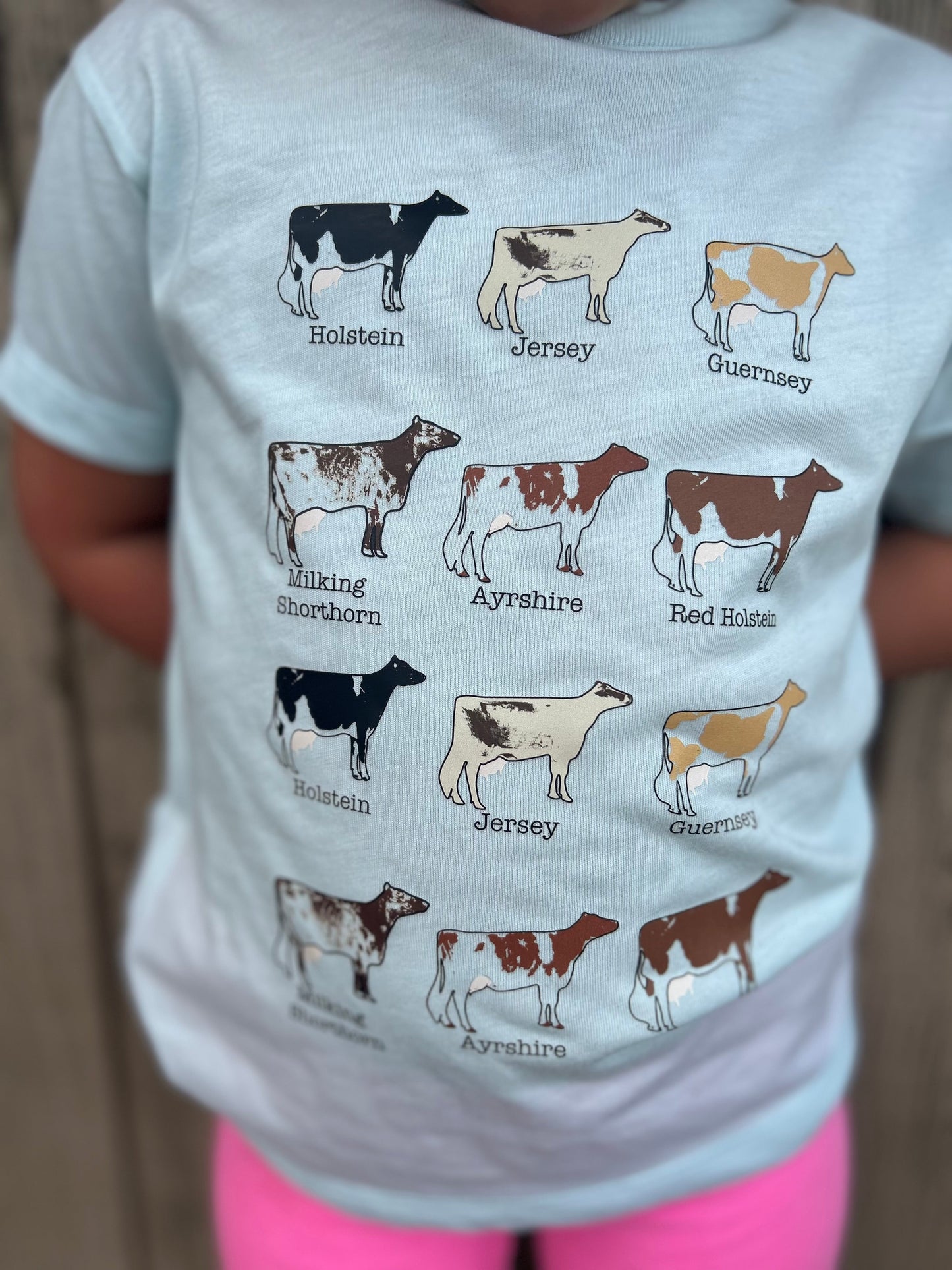 Dairy Breeds