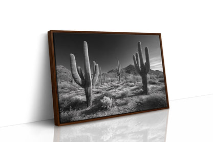 Sentinels of the Sonoran