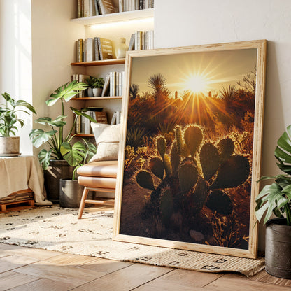 Desert Light Prickly Pear at Sunset