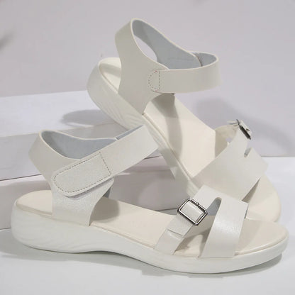 665a9f80-9eac-4bb6-b3e7-016cfc037f50-Max-Origin