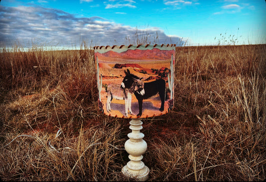 Two Burros Lampshade 11-inch Medium