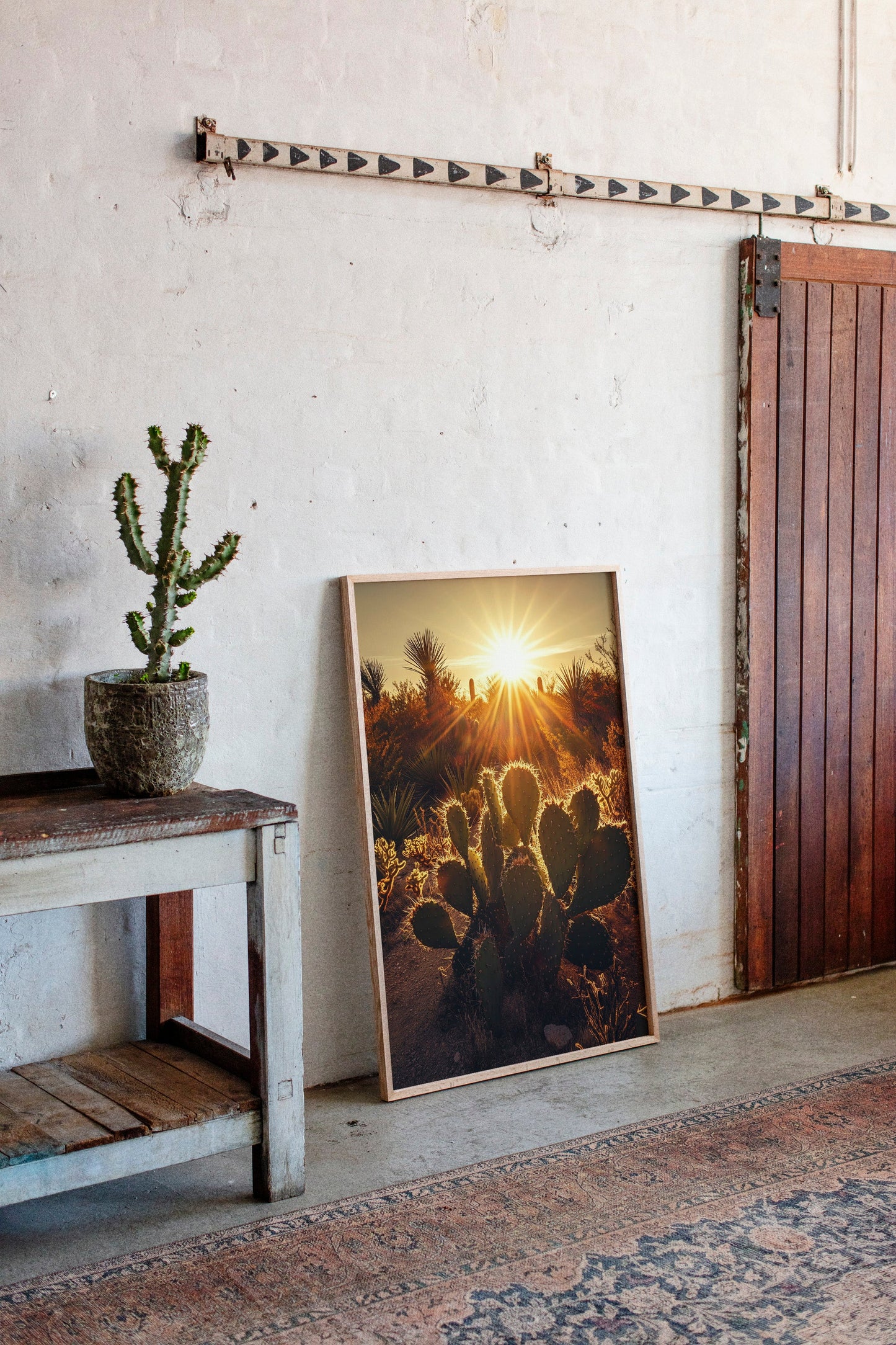 Desert Light Prickly Pear at Sunset
