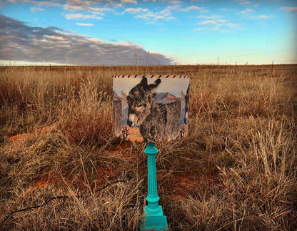 Burro Lampshade 14-inch Oval