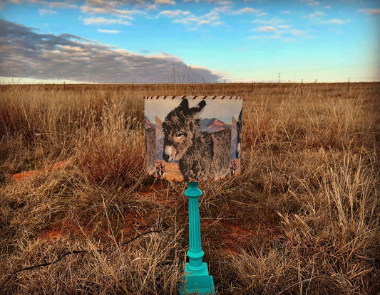 Burro Lampshade 14-inch Large