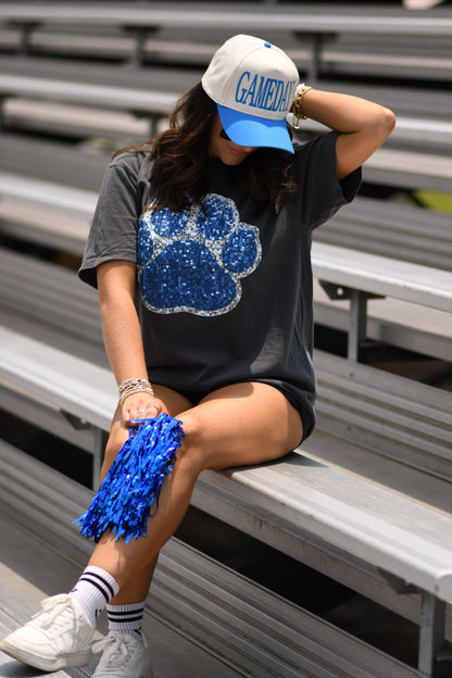 Blue & Silver Faux Glitter Paw Print Tee