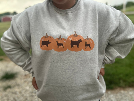 Livestock Pumpkins