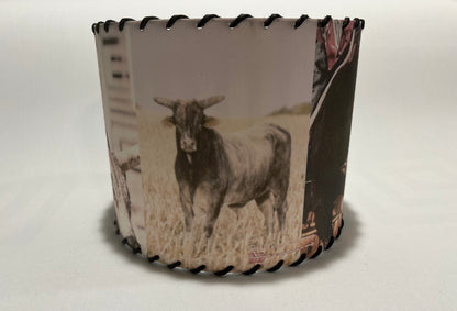 Buckin Bull Lampshade Chute 1