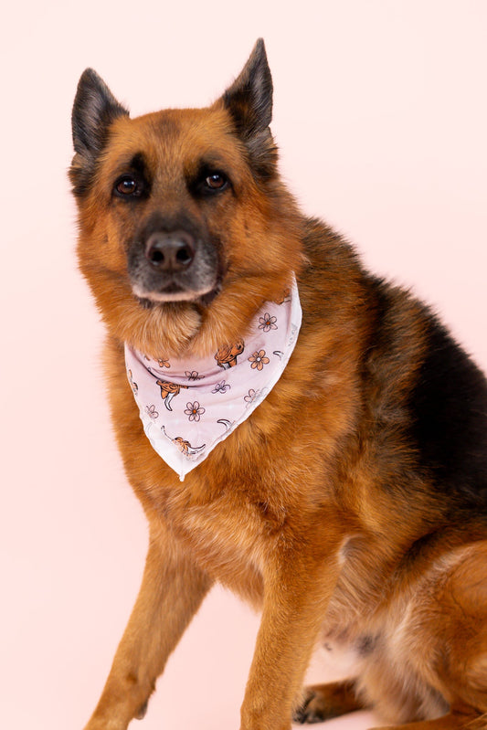 EXCLUSIVE HIGHLAND CUTIE DREAM DOG BANDANA