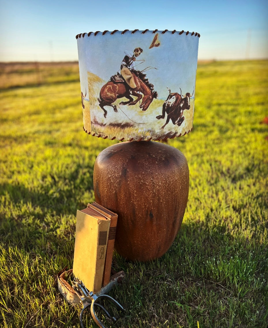 Lampshade Will James The Stray