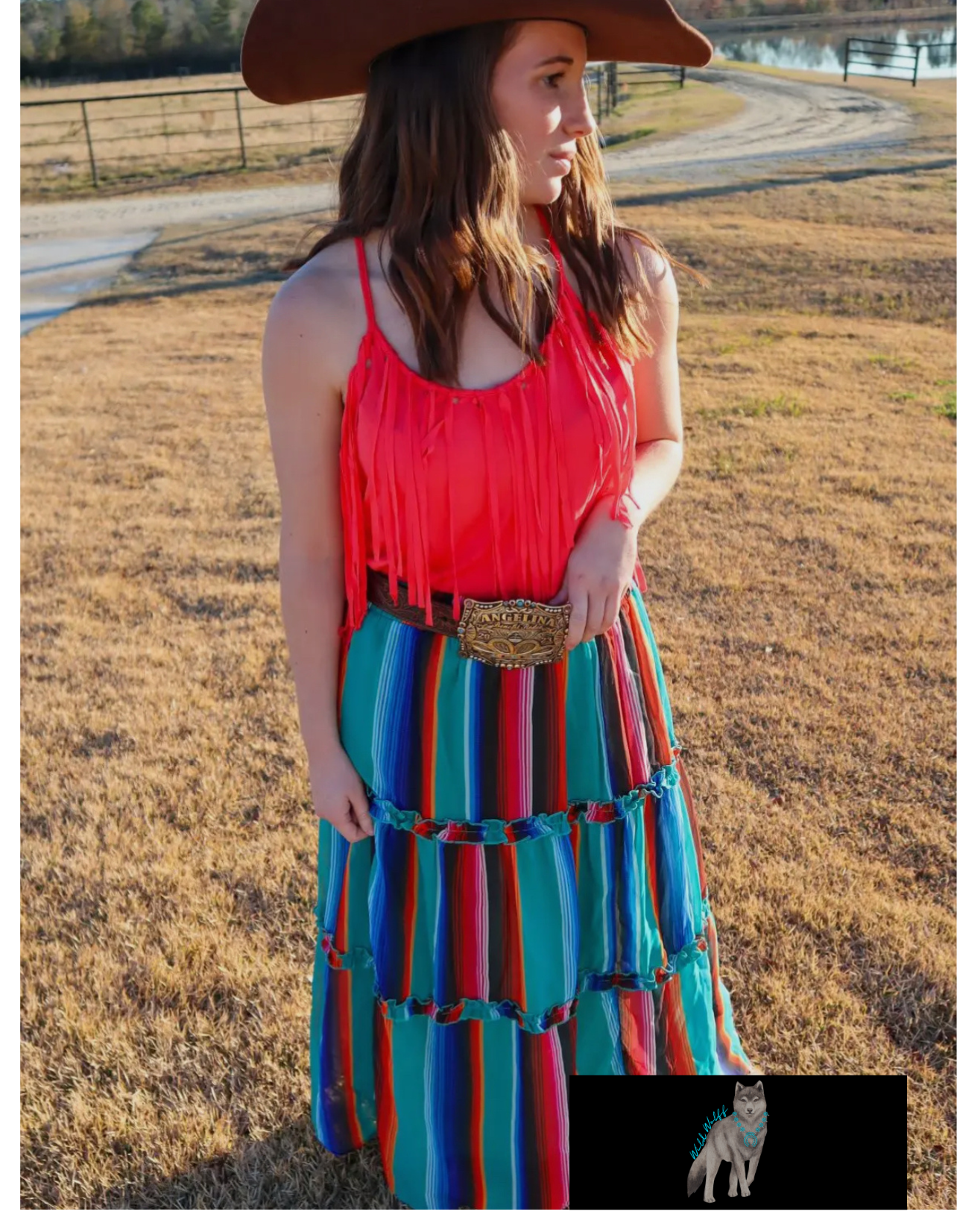 Blown Away Serape Skirt