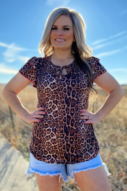 KITTY ON THE PROWL BOW TOP