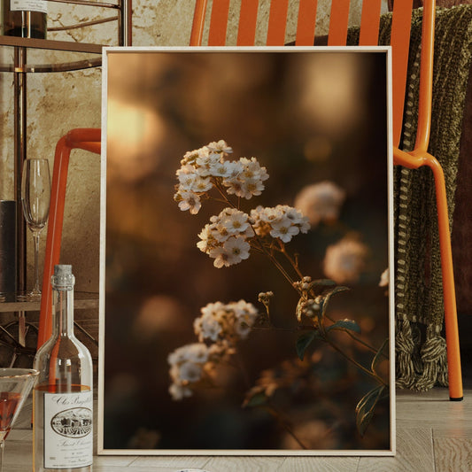 In the Glow of Petal Promises