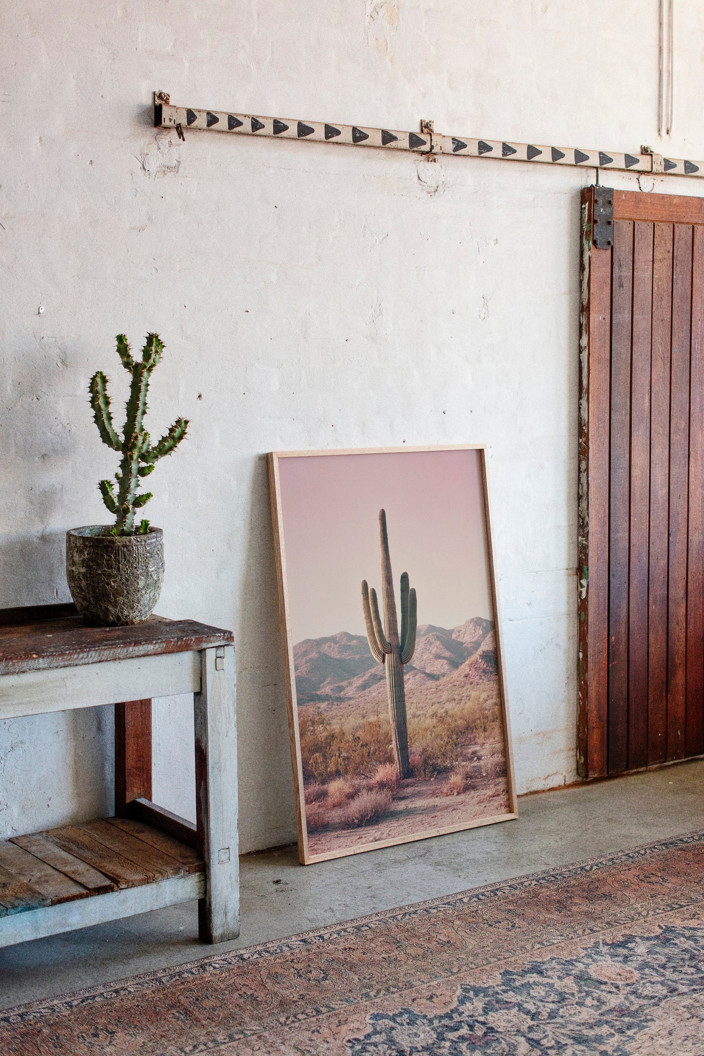 Beneath the Endless Desert Sky