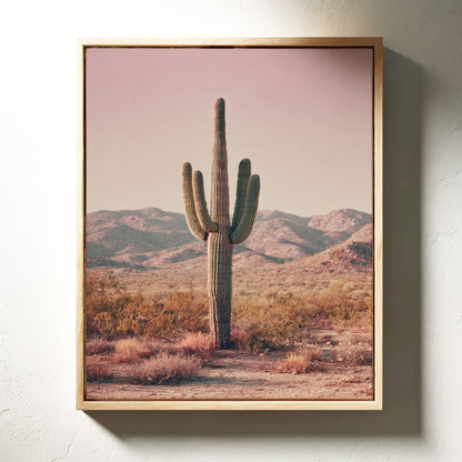 Beneath the Endless Desert Sky