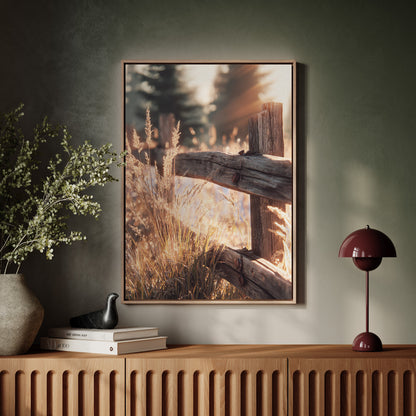 Golden Light on Weathered Wood
