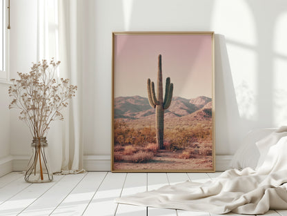 Beneath the Endless Desert Sky