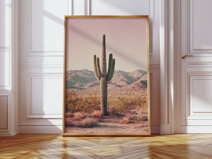 Beneath the Endless Desert Sky