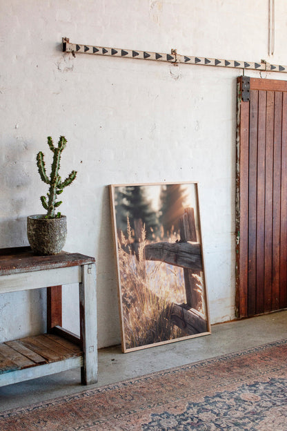 Golden Light on Weathered Wood