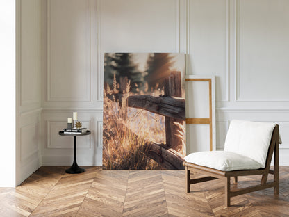 Golden Light on Weathered Wood
