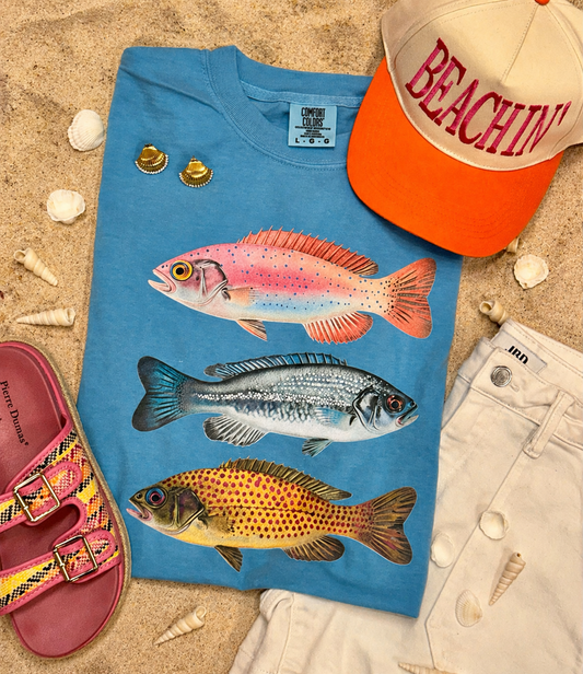Fish Tee/Tank