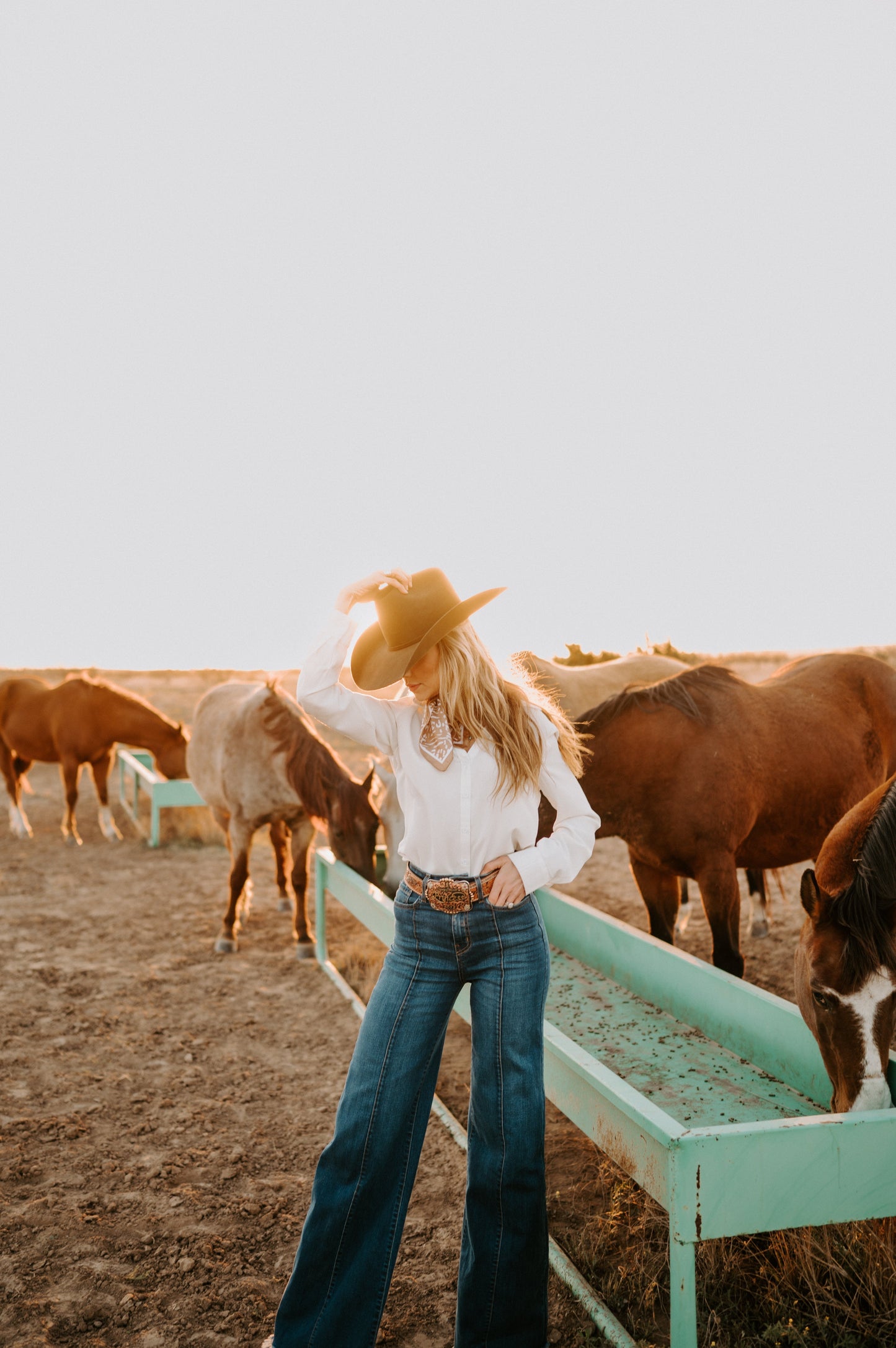 The Loretta Flares in Medium Wash