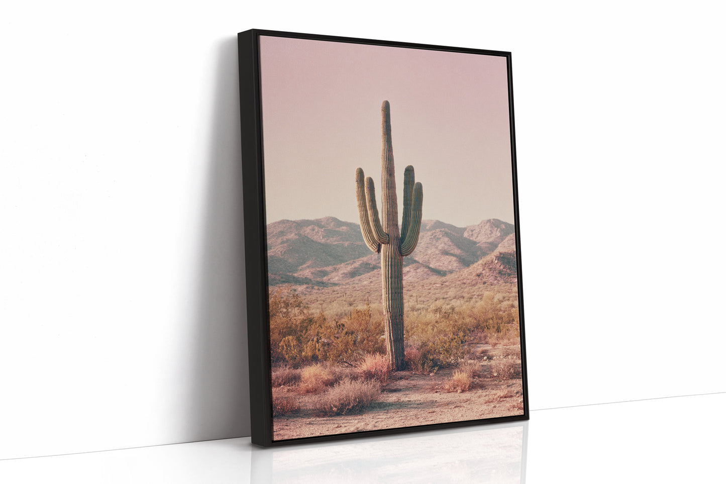 Beneath the Endless Desert Sky