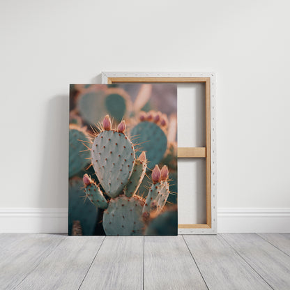 Cacti Embrace the Golden Dawn