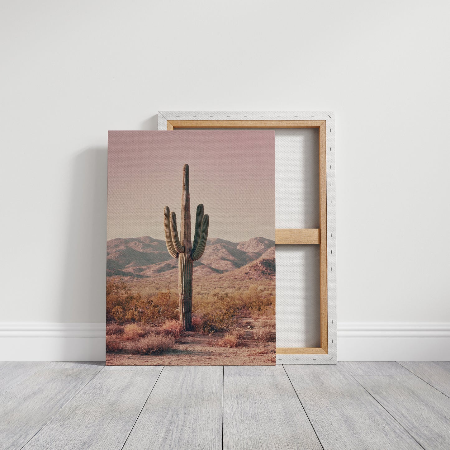 Beneath the Endless Desert Sky