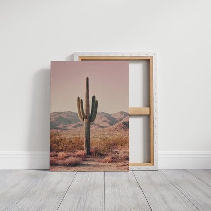 Beneath the Endless Desert Sky