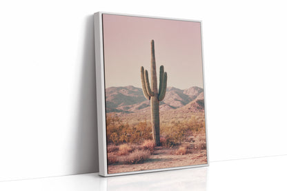 Beneath the Endless Desert Sky